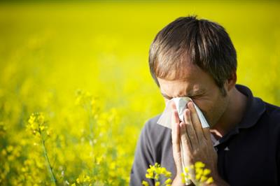 Allergy Fighting Supplements