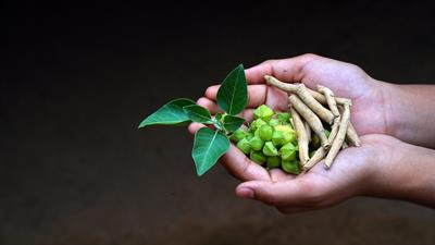 Ashwagandha & B Vitamins for Energy
