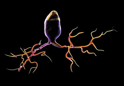 Omega-3 found to help Lou Gehrigs (ALS) disease