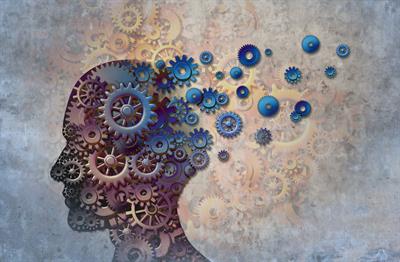 Pycnogenol prevents age related cognitive decline