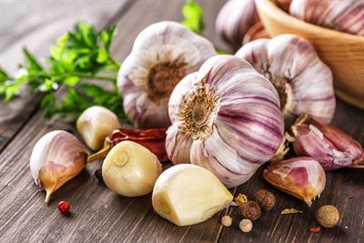 The Benefits of a Garlic Supplement