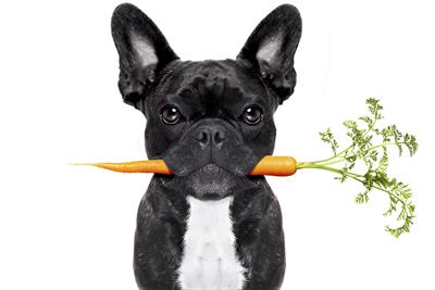 Vegetarianism linked to malnourishment