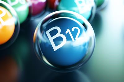 What vegan friendly foods contain vitamin B12?