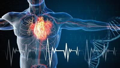 The health benefits of Coenzyme Q10