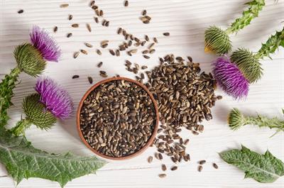 The Surprising Benefits of Milk Thistle