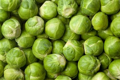 Brussels sprouts - you've got to love them all yea