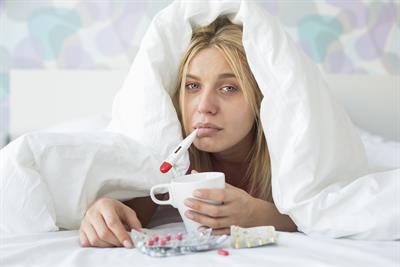 Suffer from winter colds? Try Echinacea