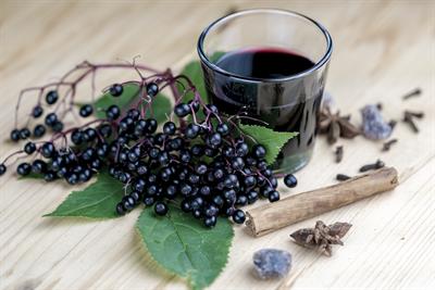 Elderberries are excellent for seasonal wellness