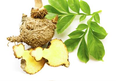 proven to help you lose weight - Glucomannan