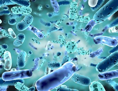 Gut health is key to a strong immune system