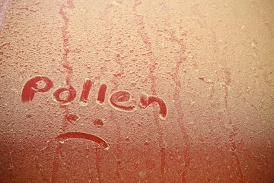 Looking for a holistic remedy for hayfever?