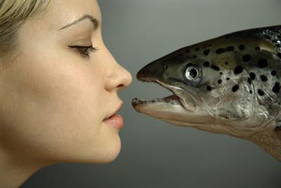 Bovine Collagen vs Marine Collagen