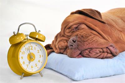 What is melatonin?