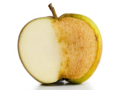 What does oxidative stress mean?