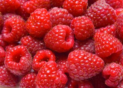 Just Vitamins stance backed by BBC Watchdog