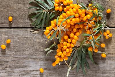 How does Sea Buckthorn Oil support skin health
