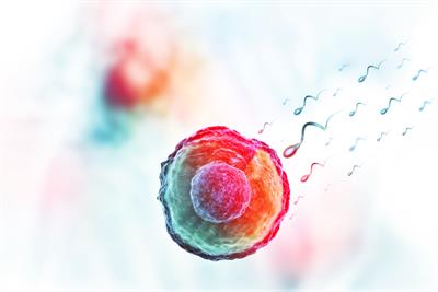 Sperm counts plunging in the developed world