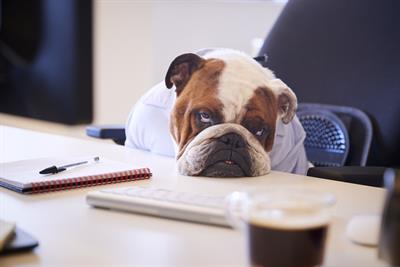 The best supplements for tiredness