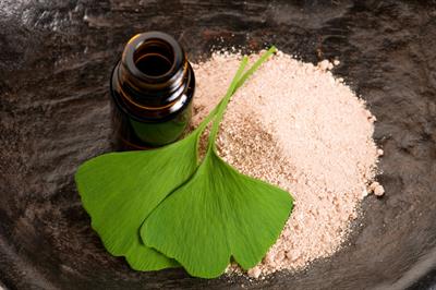 Ginkgo biloba - the tree that never grows old
