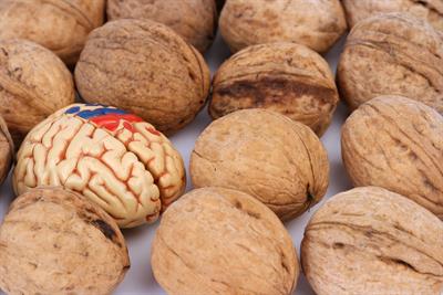 Walnuts - great for a healthy brain