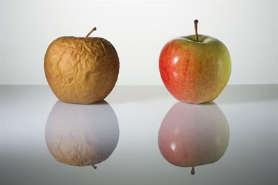 Supplementation with hyaluronic acid reduces wrink