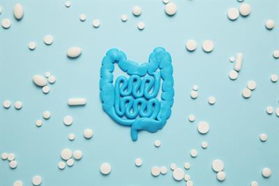 Prebiotics - Chicory Root