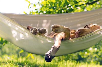 What are the three chill pills we've never heard o