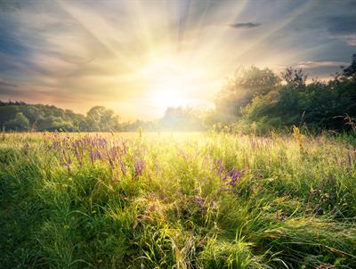 Scientists recommend a vitamin D intake of 4000 IU