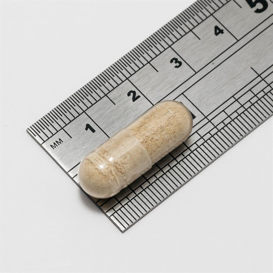 Ashwagandha for Calmer, Steadier Days