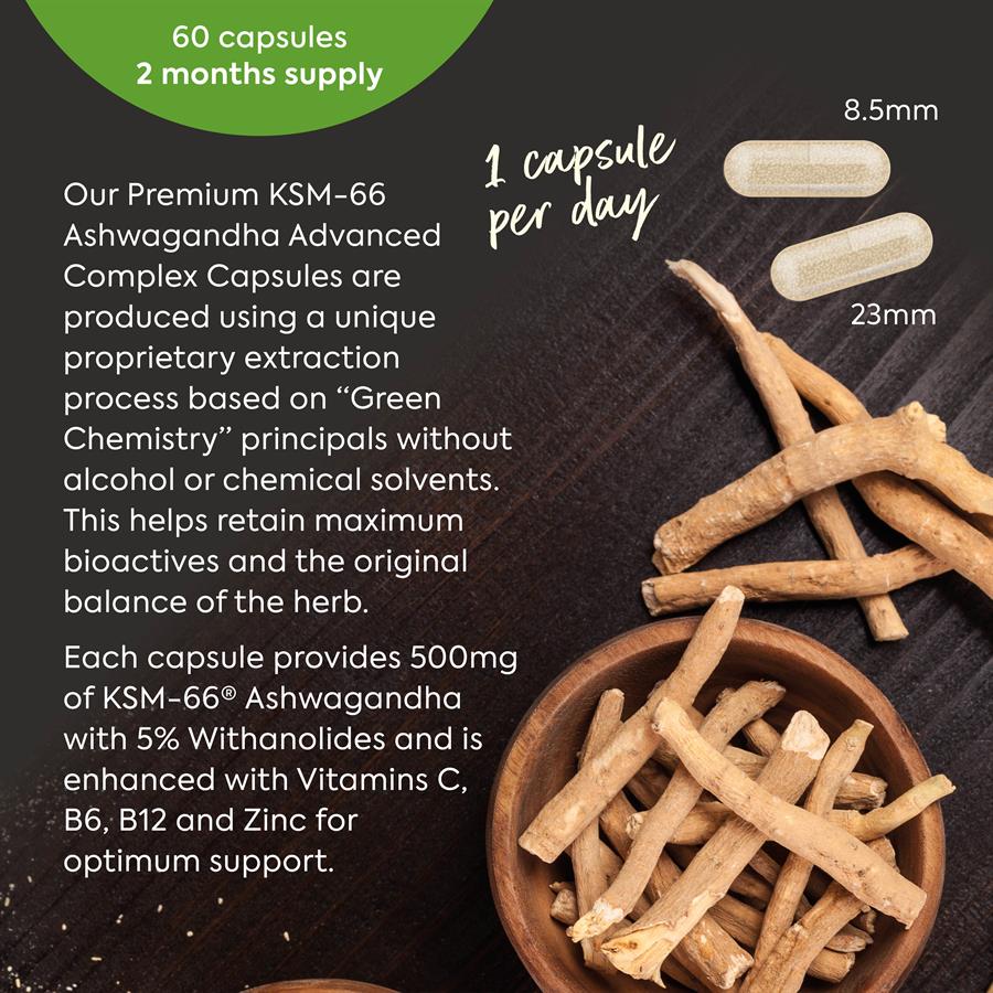 Ashwagandha for Calmer, Steadier Days