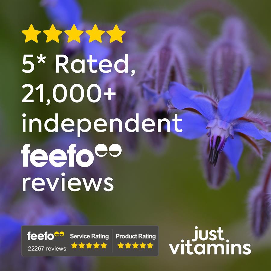 High Strength Starflower Oil for Hormonal Balance