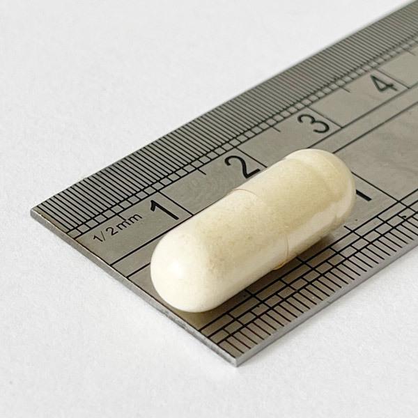 Acidophilus Plus+ with Prebiotic for Settled, Balanced Digestion