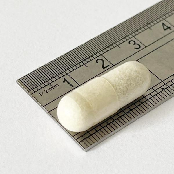 Multivitamins & Minerals with Probiotic for Complete Daily Wellbeing