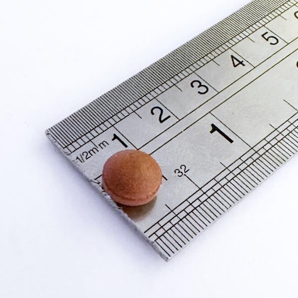 Multivitamins & Iron for Steady Energy